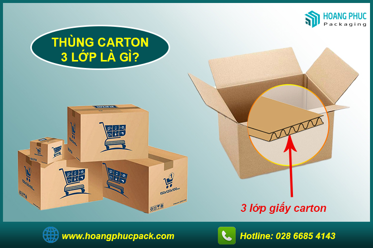 Thùng carton 3 lớp