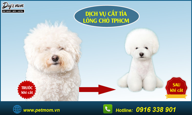 Cắt tỉa lông chó
