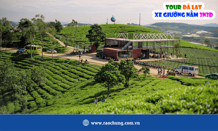 Tour Đà Lạt xe gường nằm 3 ngày 3 đêm
